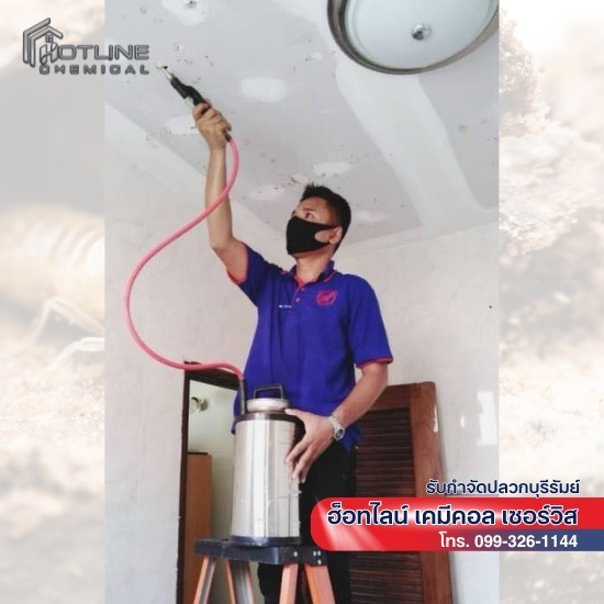 ฮ็อทไลน์ เคมีคอล เซอร์วิส - กำจัดปลวกบุรีรัมย์